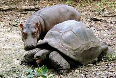  - efb138b944bcdd123dc876adad8cf3a2.jpg