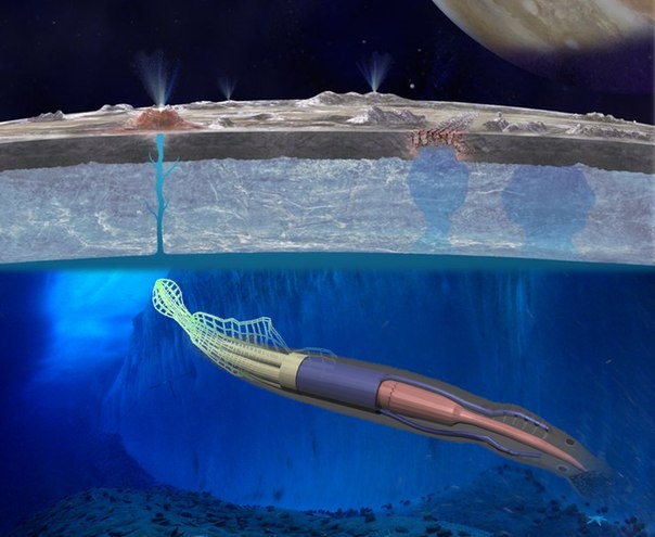  - uchenie_nasa_pridumali_kak_iskat_gizn_na_sputnike_yupitera_5c363a7b920ba.jpg