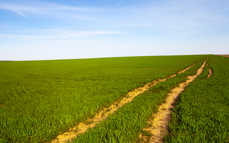 Останні та цікаві рішення ВС про користування земельною ділянкою (справи №676/8831/23 та №160/27644/23) - 8bc862a36a86fbbfba8dd3e0c7700991.jpg