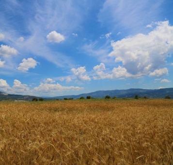  - tn1_0_47545000_1586510424_5e903a5874196.jpg