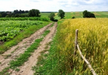  - tn1_0_59780500_1528131209_5b156e8991fae.jpg