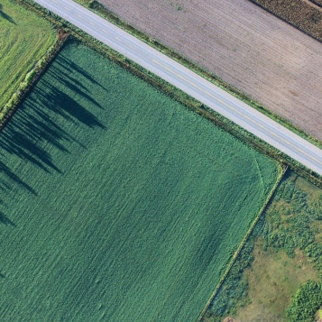  - tn1_0_68844300_1572359436_5db84d0ca8189.jpg