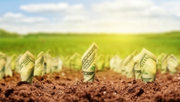  - tn1_0_75953800_1564049994_5d39824ab9756.jpg