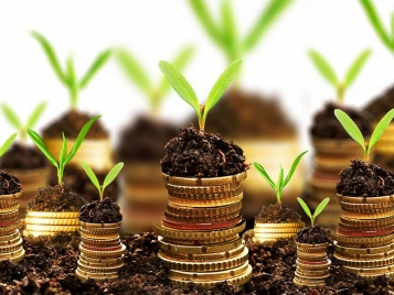  - tn1_0_81856400_1474811104_57e7d4e0c7d9d.jpg