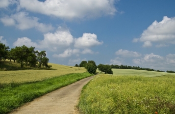  - tn1_0_95004700_1583855616_5e67b800e7f8a.jpg