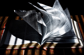  - tn1_0_96487600_1545424471_5c1d4e57eb968.jpeg