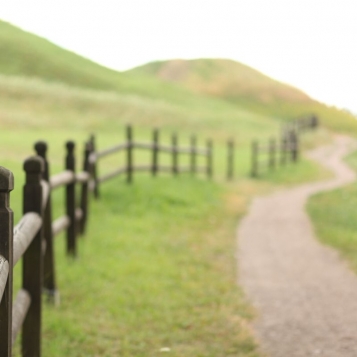  - tn1_0_98940600_1579264847_5e21ab4ff1938.jpg