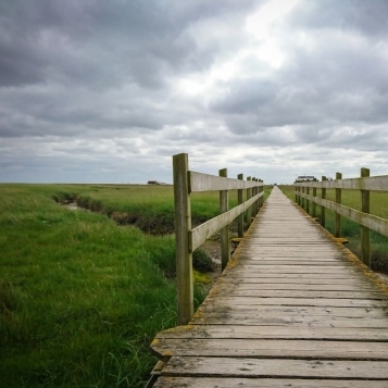  - tn1_zmina_tsilovogo_priznachennya_zemelnoi_dilyanki_protsedura_ta_naslidki_ii_porushennya_1_5e4420e3e9001.jpg