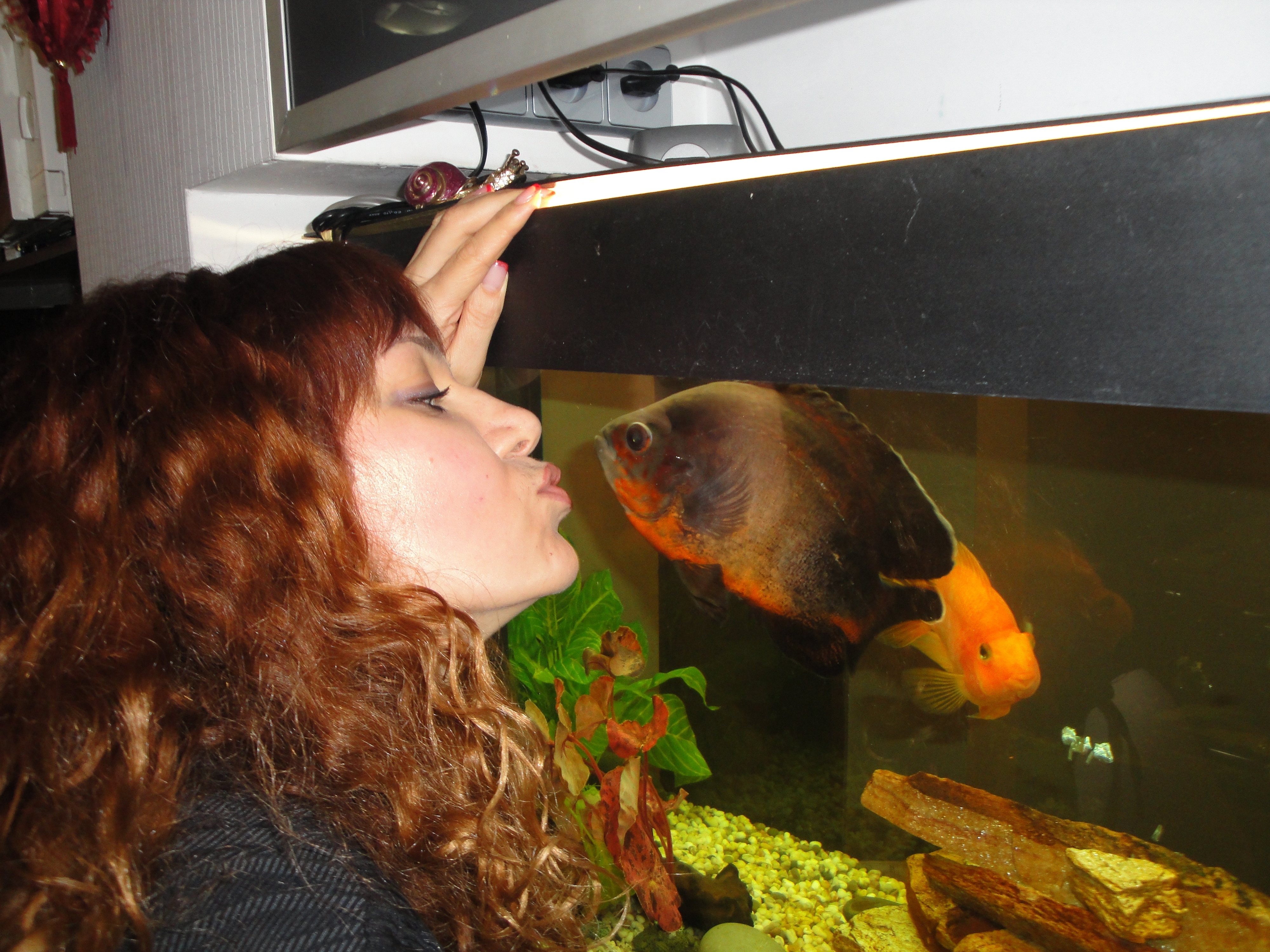 Наш логотип