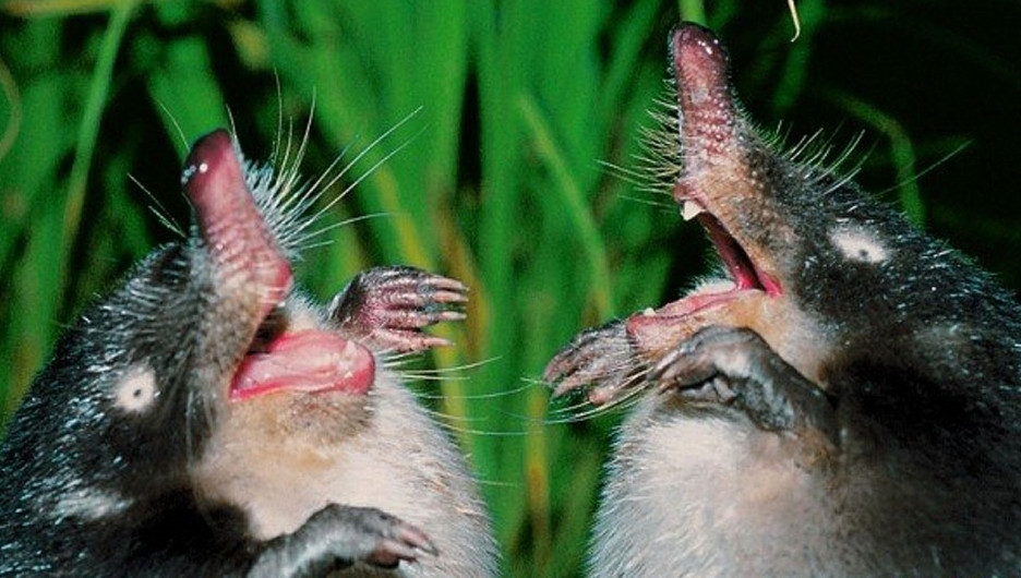 Наш логотип