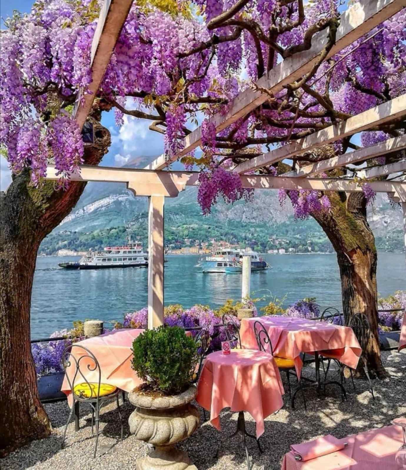 Наш логотип