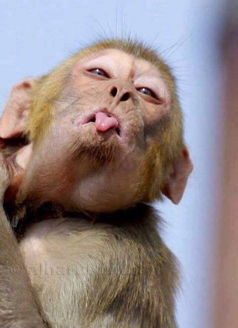 Наш логотип