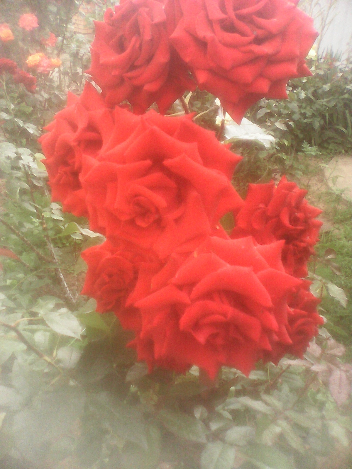 Наш логотип