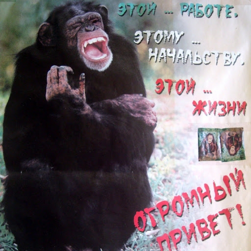 Наш логотип