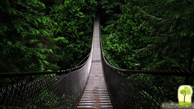 Наш логотип