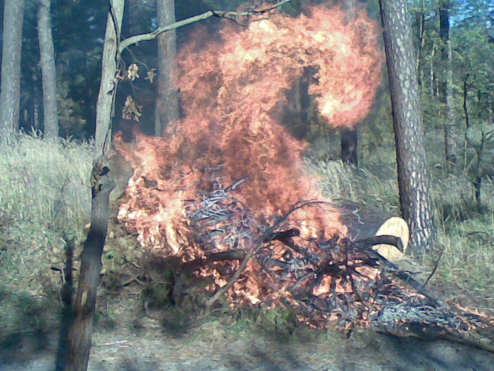 Наш логотип