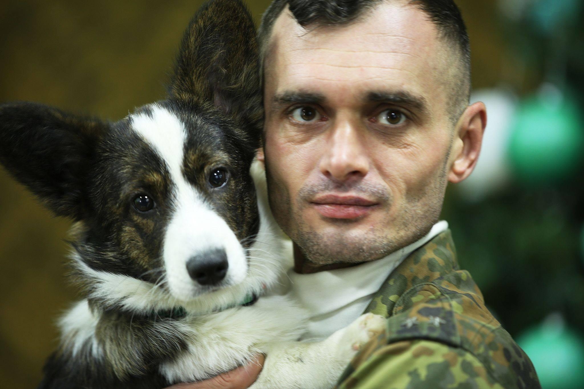 Наш логотип