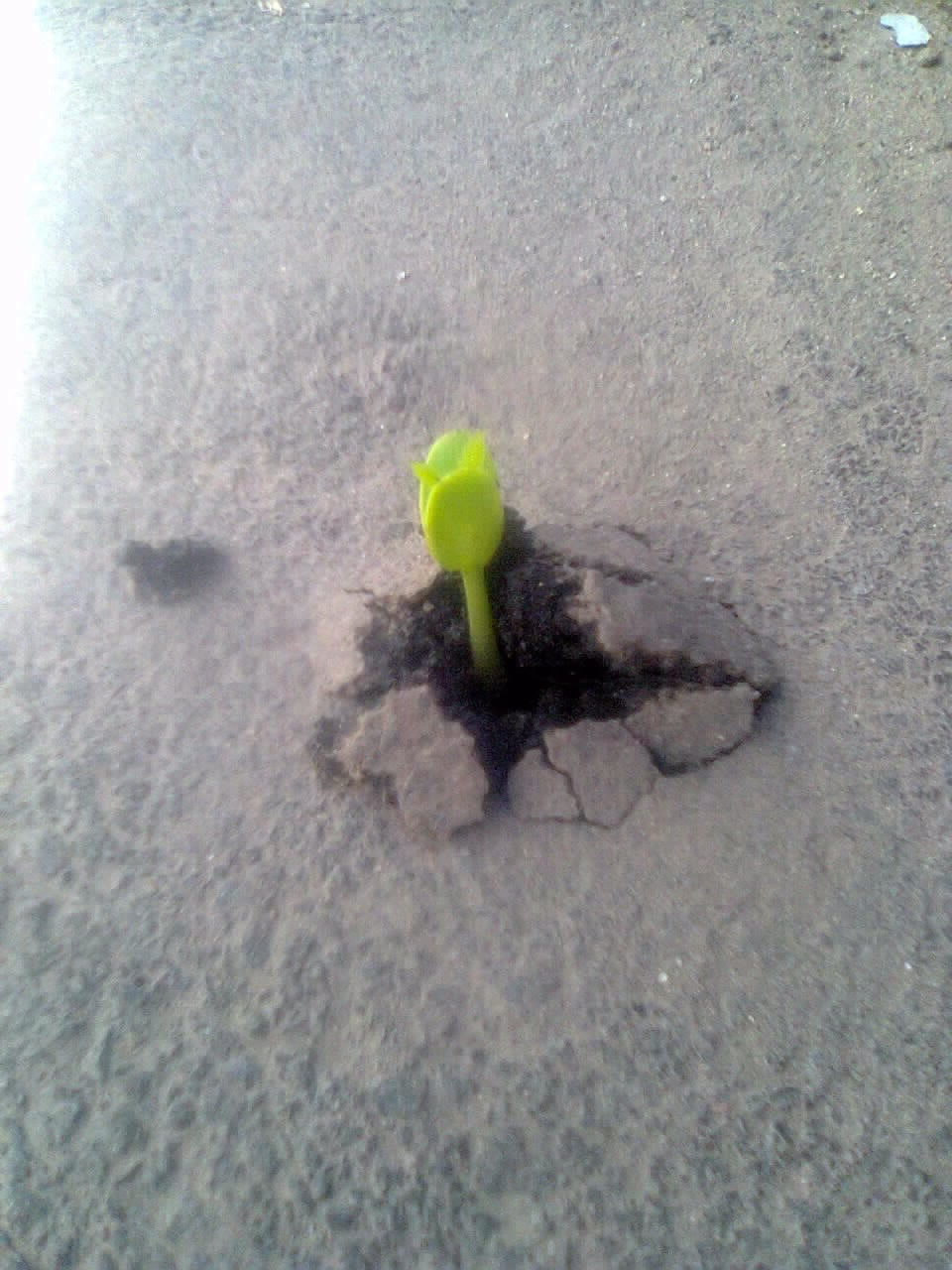 Наш логотип