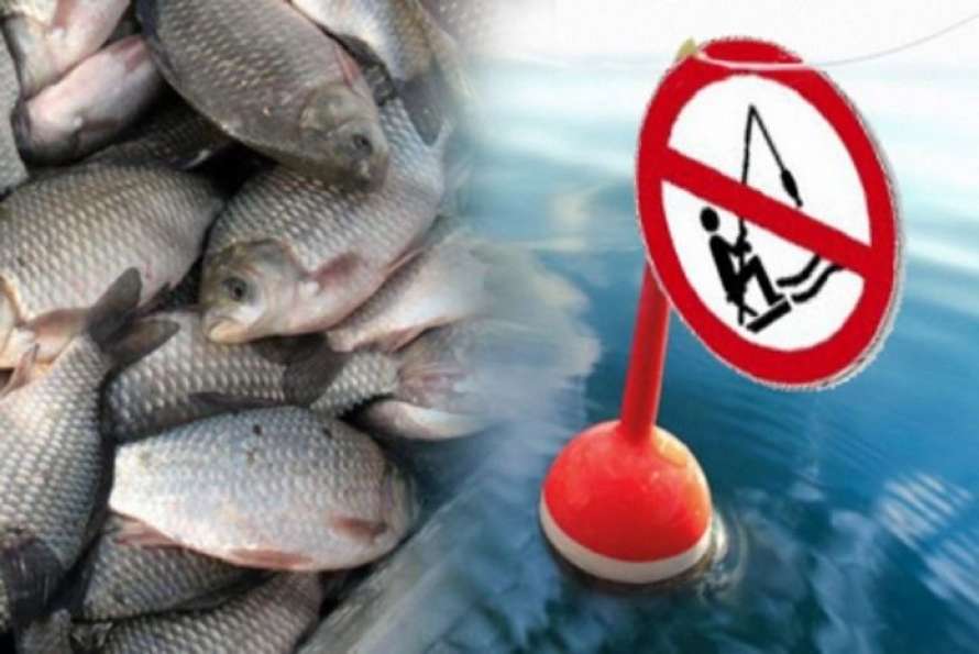 запрет рыбной ловли