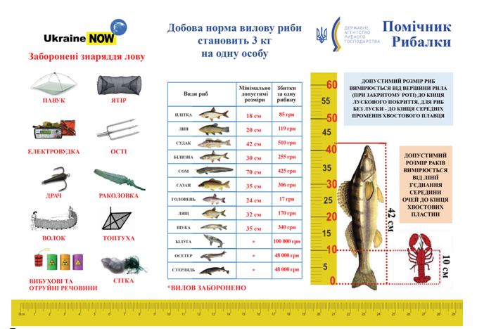 Ловля рыбы в нерестовый период: советы и рекомендации